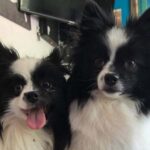 ace-fundraiser-with-music-and-prizes