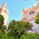 from-andalucia-to-buckingham:-the-surprising-orange-tradition-linking-sevilla-to-king-charles-iii