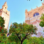 from-andalucia-to-buckingham:-the-surprising-orange-tradition-linking-sevilla-to-king-charles-iii
