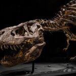 designer-dinosaur-handbag-up-for-auction