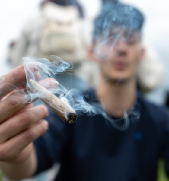 cannabis-increases-the-risk-of-psychotic-episodes,-but-legalization-does-not-always-have-the-same-consequences