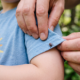 one-tick-bite-in-spain-can-now-trigger-a-high-risk-health-alert-this-summer