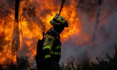 wildfires-are-burning-in-spain-at-triple-the-rate-of-2025-before-summer-has-even-truly-started-–-with-andalucia-bearing-the-brunt-this-year