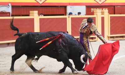 tomas-angulo,-herido-“muy-grave”-en-la-copa-chenel