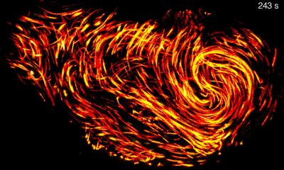 how-thousands-of-sperm-squeeze-into-a-space-10-times-smaller-without-getting-tangled
