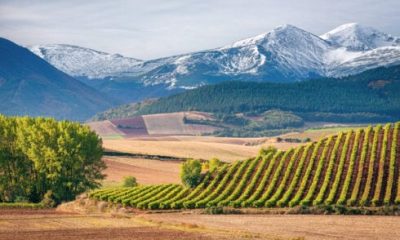 spain’s-least-visited-region-has-a-lot-going-for-it-–-from-low-property-prices-to-amazing-wines