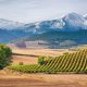 spain’s-least-visited-region-has-a-lot-going-for-it-–-from-low-property-prices-to-amazing-wines