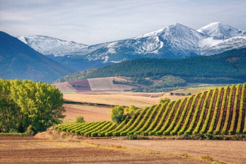 spain’s-least-visited-region-has-a-lot-going-for-it-–-from-low-property-prices-to-amazing-wines