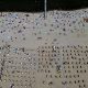 the-heat-wave-is-suffocating-germany-and-turning-bike-trips-into-a-survival-test