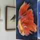mijas-painter-livia-yolanda-molina-bailen-luque-opens-colourful-solo-exhibition-in-la-cala