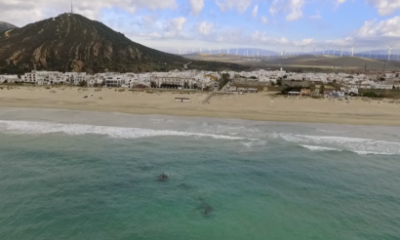 a-roman-wreck-and-a-british-steamship-among-discoveries-from-fascinating-study-of-spain’s-cadiz-coastline-–-which-may-also-have-solved-a-nautical-mystery