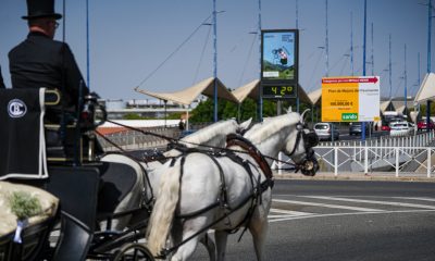 un-trabajador-de-54-anos-muere-al-ser-arrollado-por-un-caballo-en-una-hacienda-de-sevilla