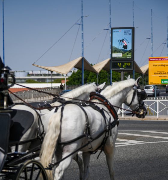 un-trabajador-de-54-anos-muere-al-ser-arrollado-por-un-caballo-en-una-hacienda-de-sevilla