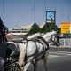 un-trabajador-de-54-anos-muere-al-ser-arrollado-por-un-caballo-en-una-hacienda-de-sevilla