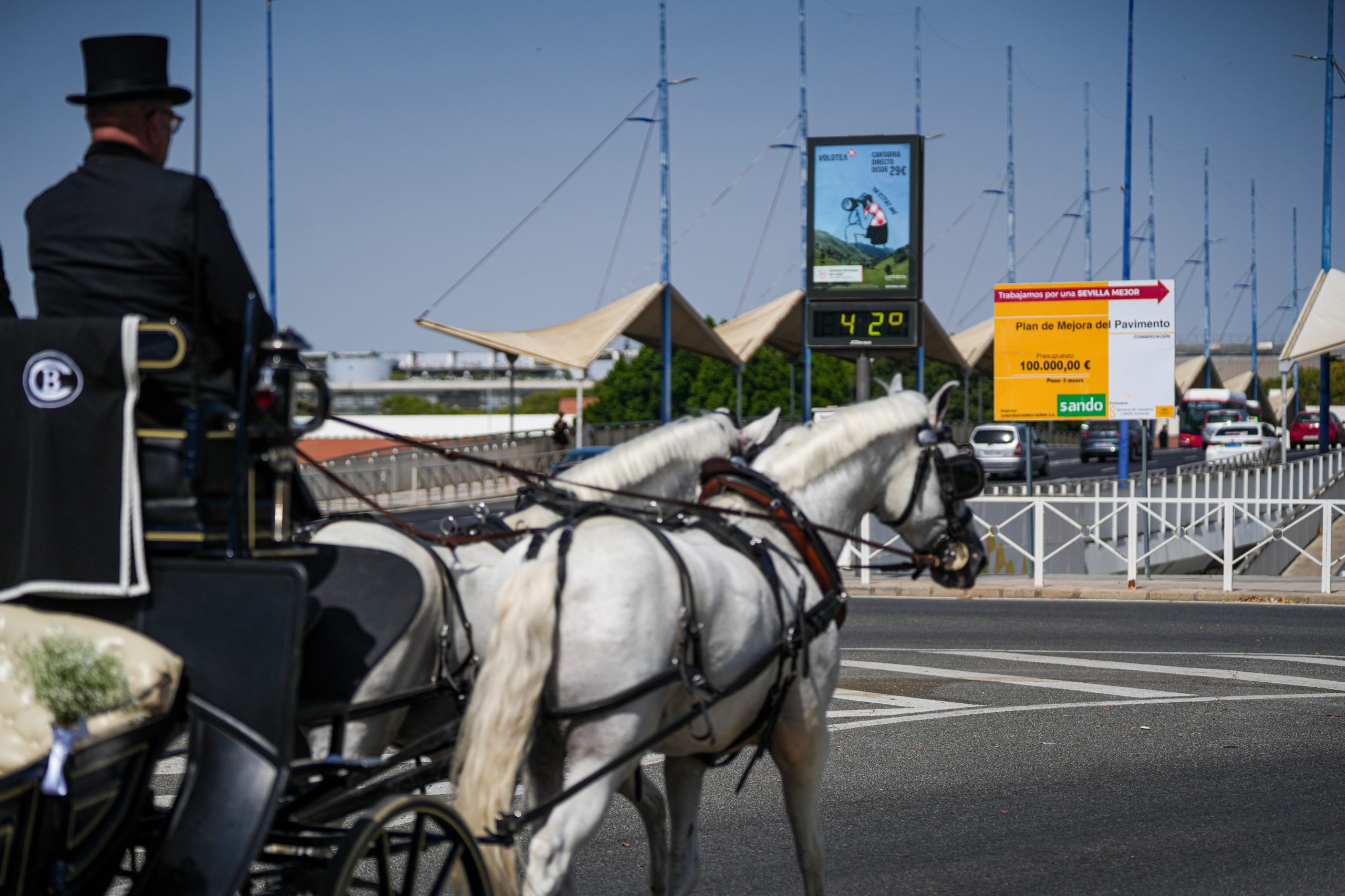 un-trabajador-de-54-anos-muere-al-ser-arrollado-por-un-caballo-en-una-hacienda-de-sevilla