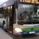 velez-malaga-brings-in-night-bus-service-connecting-to-torre-del-mar