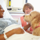 terminal-patients-in-poland-ask-for-the-right-to-say-goodbye-to-their-pets