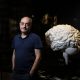 carles-lalueza-fox,-geneticist:-‘we-each-have-more-than-one-doppelganger-somewhere-on-the-planet’