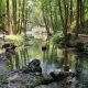 three-weekend-hikes-that-start-at-the-source-of-spain’s-mightiest-rivers