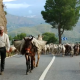 the-quiet-corner-of-andalucia-where-the-last-of-spain’s-nomad-shepherds-still-roam