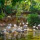 travel-through-the-world’s-tropical-rainforests-without-leaving-the-costa-del-sol-–-as-spain’s-only-‘nocturnal’-zoo-celebrates-its-25th-anniversary