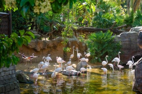 travel-through-the-world’s-tropical-rainforests-without-leaving-the-costa-del-sol-–-as-spain’s-only-‘nocturnal’-zoo-celebrates-its-25th-anniversary