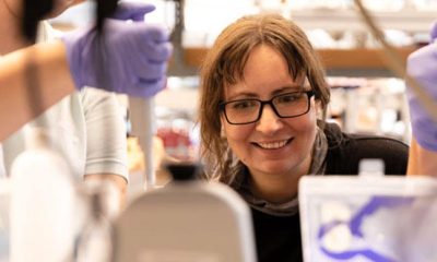 cientificos-de-estados-unidos-dicen-haber-creado-una-“celula-sintetica”-capaz-de-replicarse-y-evolucionar