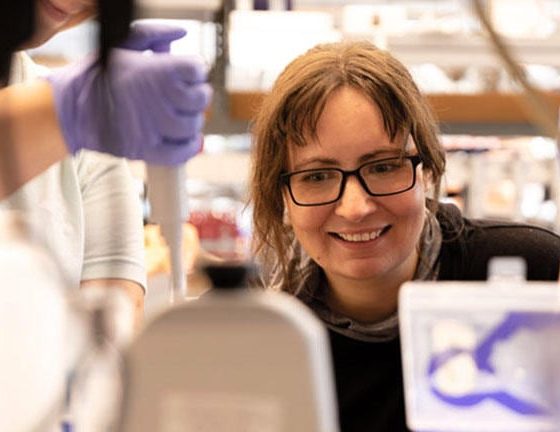 cientificos-de-estados-unidos-dicen-haber-creado-una-“celula-sintetica”-capaz-de-replicarse-y-evolucionar