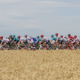 spain-tour-de-france-fans-warned-extreme-heat-could-force-cancellations-for-first-time-in-history