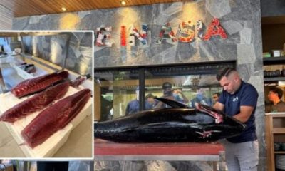 almadraba-in-marbella:-lucky-diners-watch-and-then-gorge-on-a-giant-113-kilo-bluefin-tuna-carved-up-at-koi-restaurant