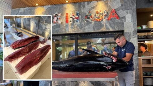 almadraba-in-marbella:-lucky-diners-watch-and-then-gorge-on-a-giant-113-kilo-bluefin-tuna-carved-up-at-koi-restaurant