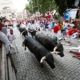 san-fermin,-spain’s-famous-bull-run,-is-about-to-begin,-but-police-are-preparing-for-a-different-danger