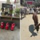 donkey-dreamland-mijas-fire-safety-appeal-success