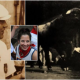 exclusive:-‘hemingway,-pamplona-and-me-–-why-i-run-the-bulls-for-my-legendary-dad’