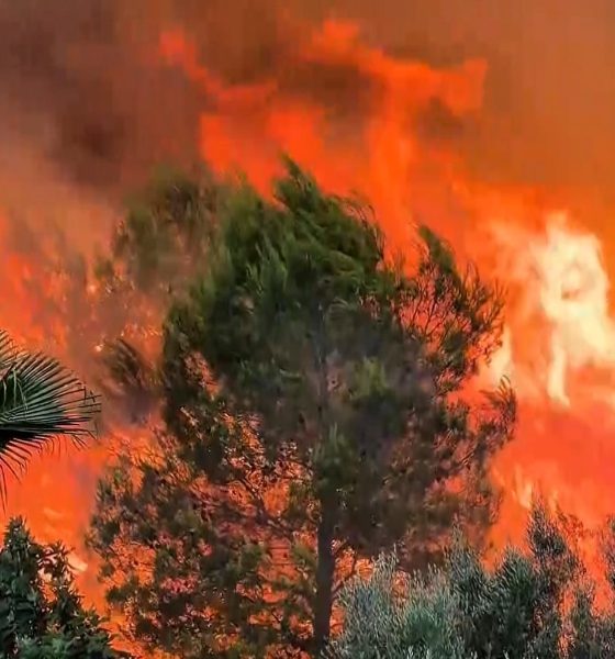 el-incendio-en-soneja-(castellon)-obliga-a-desalojar-a-500-personas-de-la-vecina-poblacion-de-azuebar