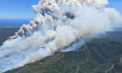 stay-at-home-order-lifted-for-12,000-residents-near-costa-brava-wildfire-–-as-firefighters-declare-blaze-that-injured-10-and-scorched-2,300-hectares-‘stable’ 
