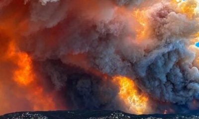 outrage-as-worker-using-angle-grinder-in-sweltering-heat-is-arrested-for-costa-brava-blaze-–-while-contractor-and-catalan-government-dodge-blame