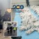 spanish-police-smash-dutch-mafia-on-the-costa-del-sol-and-seize-record-one-tonne-mdma-haul-destined-to-be-swapped-for-south-american-cocaine-via-ghana
