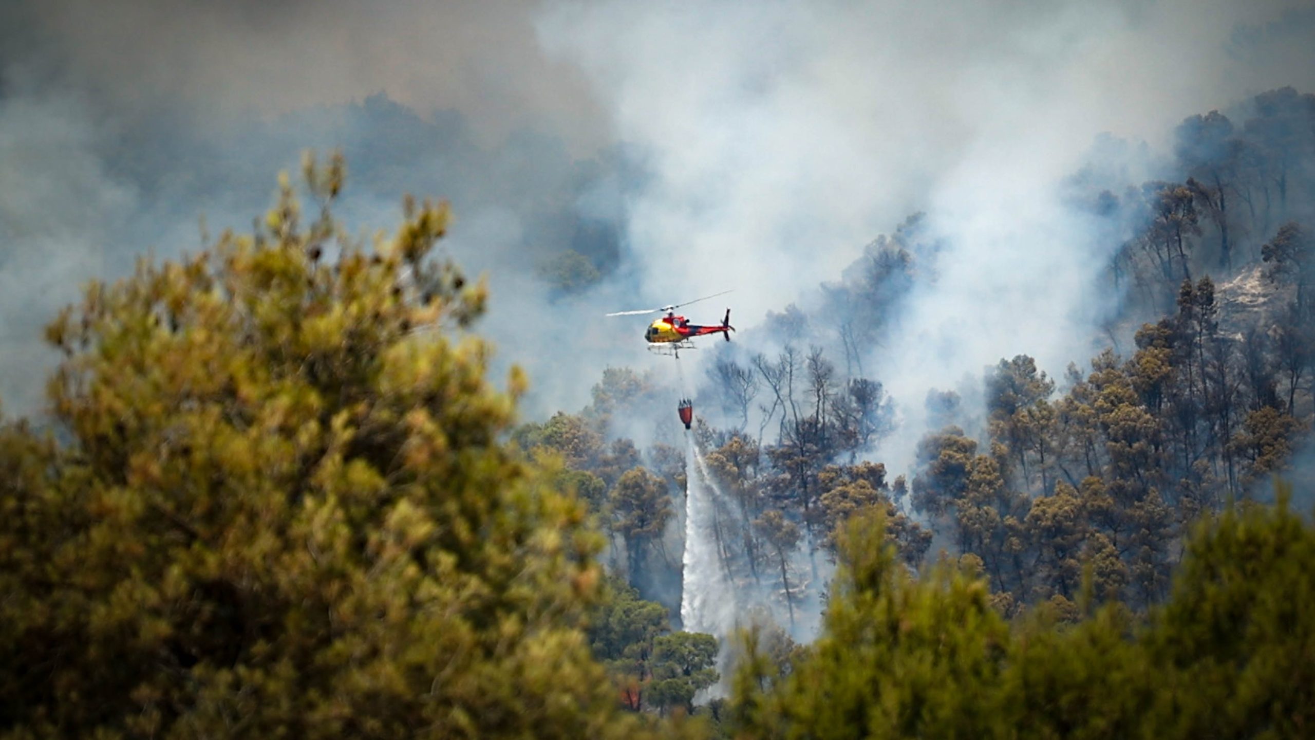 nuevos-incendios-simultaneos-complican-la-labor-de-los-bomberos-en-cataluna-en-plena-ola-de-calor