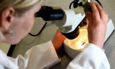 malaga-colon-cancer-screening-patients-urged-to-re-take-tests-after-latest-‘false-positives’-scandal-as-prosecutors-open-probe