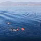 catch-of-the-day:-two-fishermen-rescued-off-marbella-after-jumping-into-the-sea-to-reel-in-hefty-8kg-fish