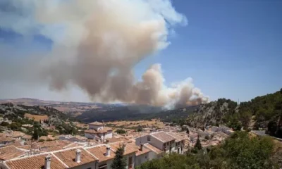 careless-worker-blamed-for-forest-fire-that-forced-hundreds-of-tourists-to-evacuate-beautiful-town-in-the-sierra-de-cadiz-mountain-range