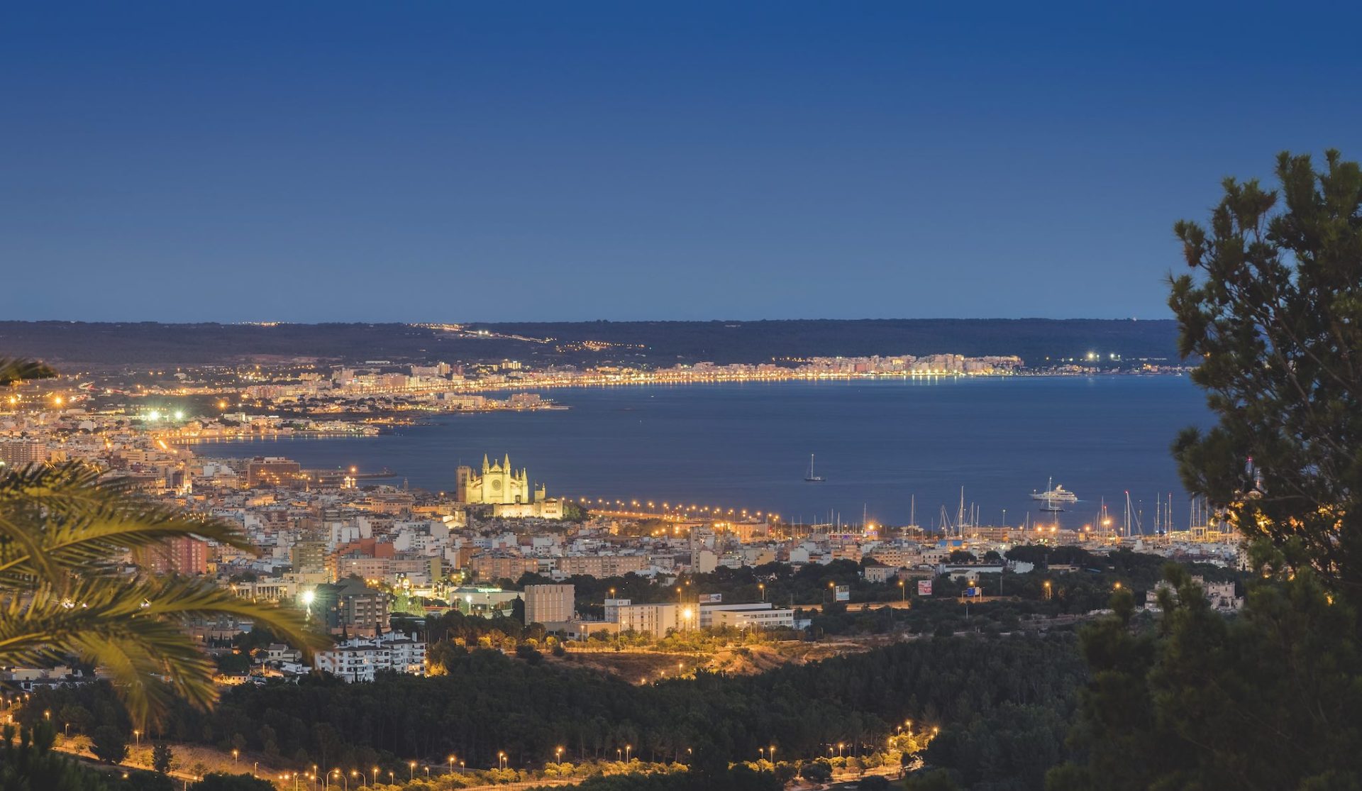 mallorca’s-anti-tourism-activists-become-a-nuisance-to-their-own-cause