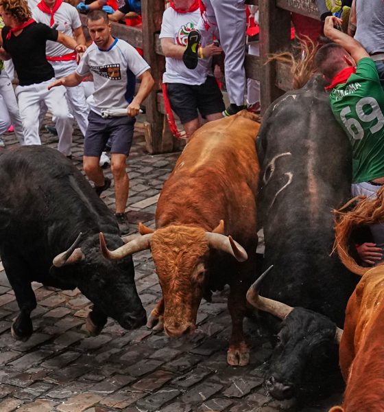 los-atleticos-toros-gaditanos-de-alvaro-nunez-protagonizan-un-emocionante-cuarto-encierro-de-san-fermin-con-nueve-contusionados