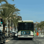 elche-improves-visitor-experience
