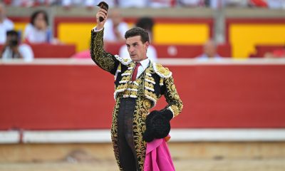oreja-pirrica-para-fernando-adrian,-que-no-cuaja-un-gran-lote-de-la-palmosilla