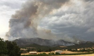 catalunya-wildfire-alert:-firefighters-brace-for-‘highest-risk’-as-third-heatwave-sends-temperatures-soaring