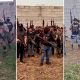 cjng-propaganda-knocks-at-mexico-city’s-door-again