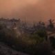 spain’s-forests-have-become-a-tinderbox:-decades-of-neglect-are-fuelling-the-next-wildfire