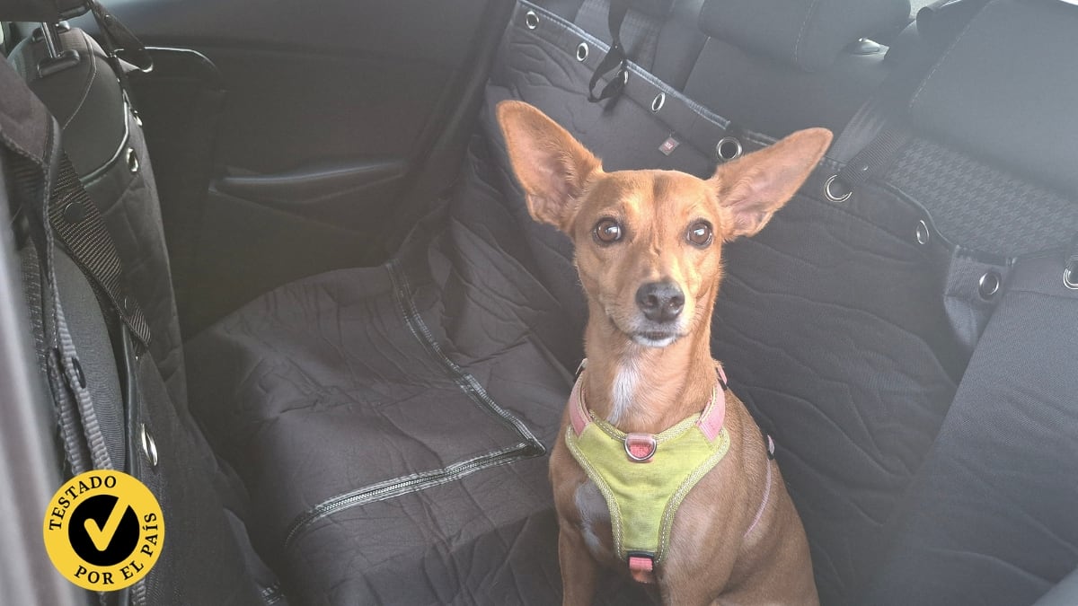 pruebo-los-mejores-protectores-de-asiento-de-coche-para-perros